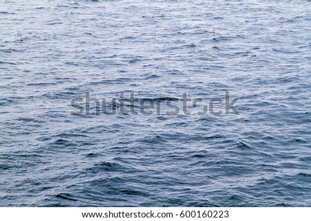 Seas of Magellan Strait, Chile