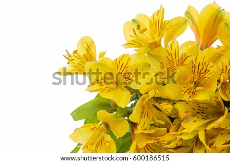 bouquet of yellow Orchid flowers, isolated 