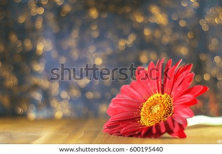 Beautiful red gerbera on wooden table with blurred glitter background.