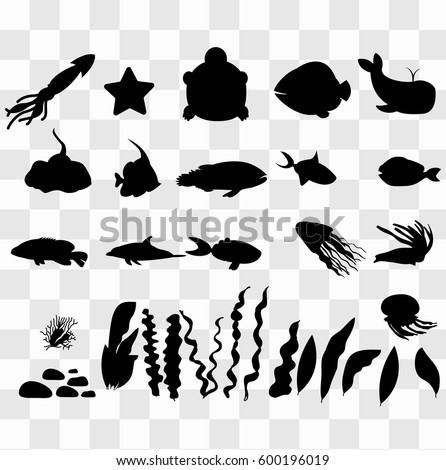 Silhouettes of sea fish, whale, squid, turtle, sea star, algal dolphin. Big set sea  Aquarium animals black and white illustration on transparent background.