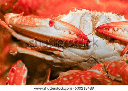 Burning crab