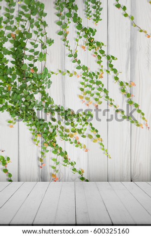 Wooden table with wooden wall and ornamental plants or ivy or garden tree for background.