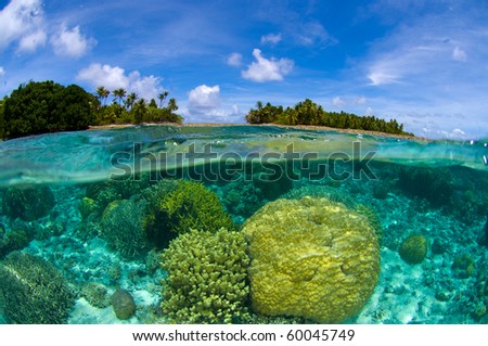 Coral reef over/under at the Marshall Islands Royalty-Free Stock Photo #60045749