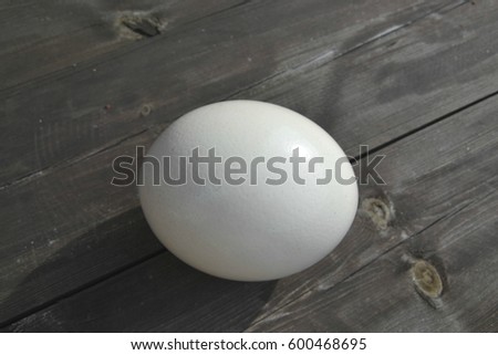 Huge white egg shell of an african ostrich on a wooden background