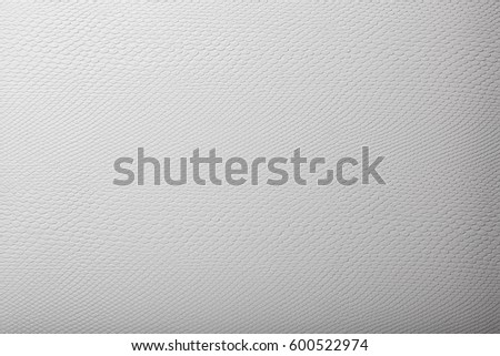 Close Up Of White Snake Skin. Texture Background High Resolution