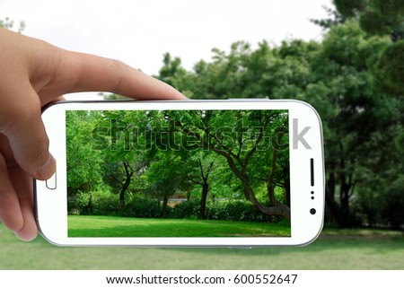 hand holding smartphone and taken photo of Park in Gyeongbokgung Palace in Seoul, South Korea , Green of Garden Landscape with  sky, Fresh natural background with spring season.