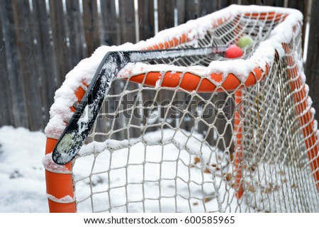 Hockey Net in Winter