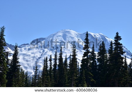 Mount rainier in the background of evergreen pine trees. Royalty-Free Stock Photo #600608036