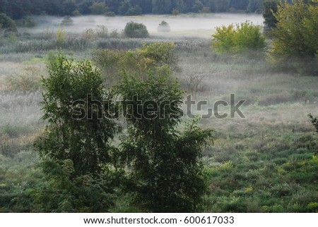 Morning fog in Falkensee (Brandenburg), Germany Royalty-Free Stock Photo #600617033