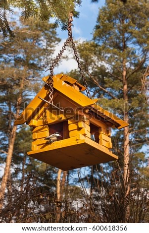 Birdhouse in the woods. Food for small birds