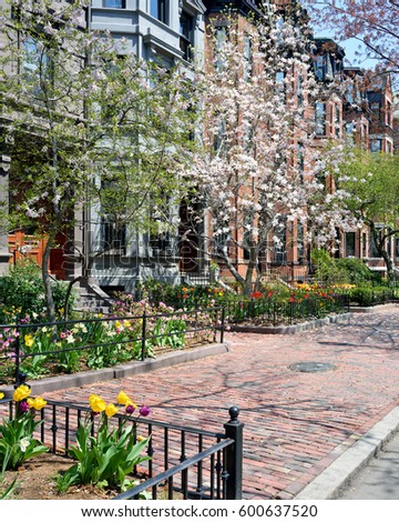 Back Bay residential district in mid spring