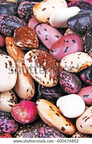 
Beautiful mixed beans as background. Raw colorful bean texture.