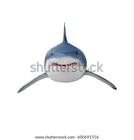 The Great White Shark - Carcharodon carcharias is a world's largest known extant predatory fish. Animals on white background. 