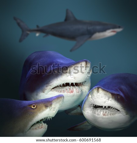 Underwater picture of four sharks. Sea life and fishing theme.