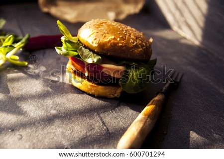 Fresh meat burger with vegetables