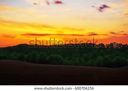 Sunset over the forest