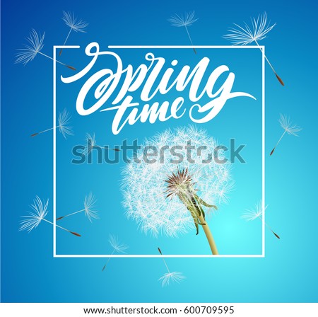 vector dandelion with flying seeds on cloudy sky
