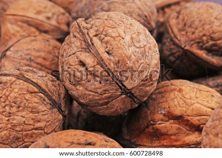 Walnut texture. Brown big walnuts as background. walnut nuts pattern close up photo.