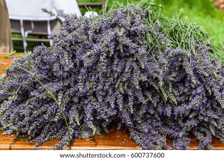 bundles of fresh lavender
