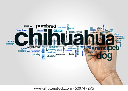 Chihuahua word cloud on grey background.
