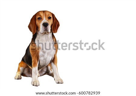Drawing  Dog Beagle portrait oil painting on a white background. Hand drawn home pet. Digital painting.  Clip art llustration