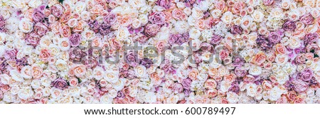 Flowers wall background with amazing red and white roses, Wedding decoration, hand made. Toning Royalty-Free Stock Photo #600789497