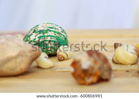 set of green shells on background.