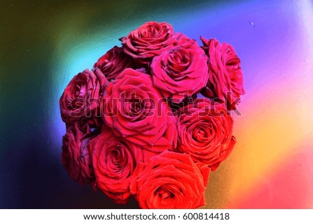 Arrangement of red blooming roses. Romantic bouquet with withering flowers for birthday gift, mothers day, valentines love present, wedding bridal decoration. Image with rainbow color filter effect