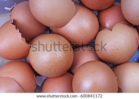Egg shell texture. brown eggs as background. Egg shells photography in studio. Brown broken eggs pattern.