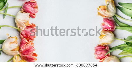 Springtime floral border mit colorful tulips, floral banner, top view. Spring flowers concept