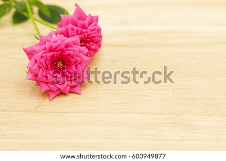 Small pink roses are on wooden background