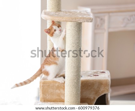 Cute funny cat and tree in room Royalty-Free Stock Photo #600979376