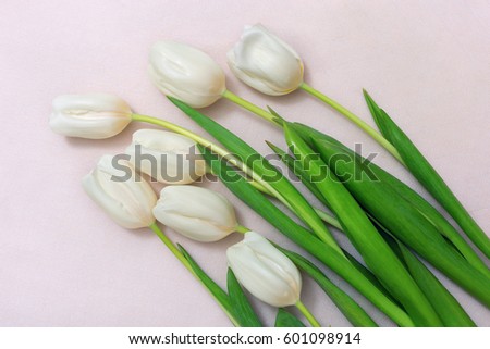 Bouquet of white cutting tulips lying on a light background. Top view. Copy space. Free place for your text. Horizontal format. Cut flowers.