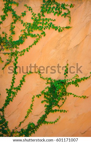 Cream wall with green leaves. 