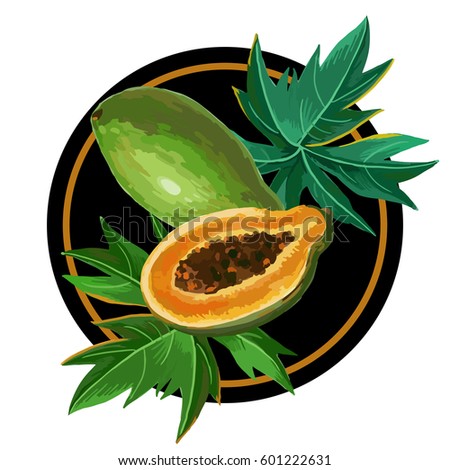 Vector round composition. Summer illustration with exotic fruits. Suitable for posters, flyers, cover designs, etc.
