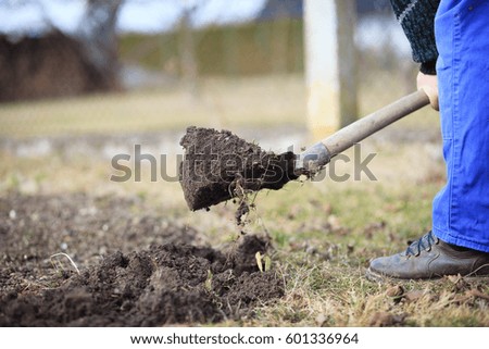 Senior man digging a garden for new plants after winter by spade