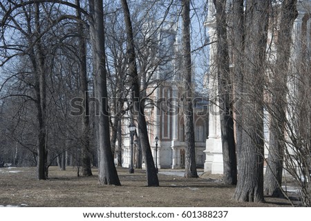 bare trees on the background of the Gothic palace