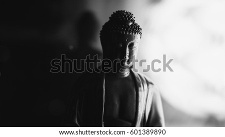 the statue of Buddha Shakyamuni. Buddhism and enlightenment. Nirvana. Shallow focus