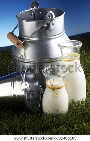 Milk jug and glass on the grass. On a background of the sunny sky.