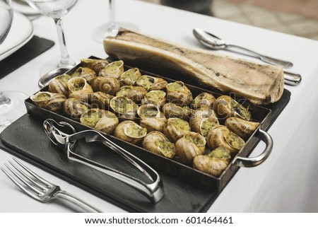   Bourgogne Escargots, Snails with herbs butter, with marrow on plate of slate