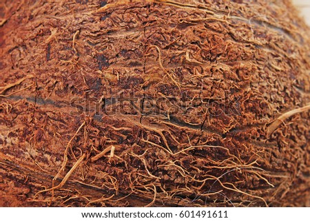 Coconut close up texture. Coconut macro background. Coconut fibers.