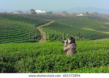 Female photographer is taking pictures of the tea plantation