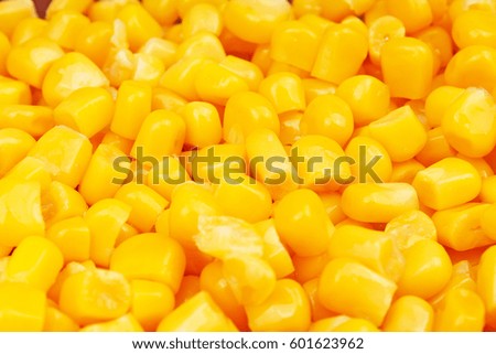 Corn texture. Yellow corns as background. Corn vegetable pattern. 