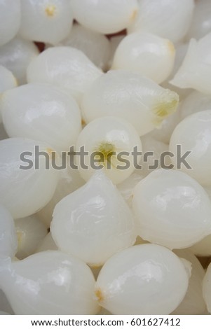 White shallots texture. Shallot onion pattern.