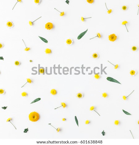 Flowers composition. Frame made of yellow flowers on white background. Flat lay, top view, square