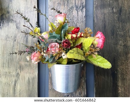 The amazing beautiful blossom rose flowers in silver can that are hanging on the wood backdrop.