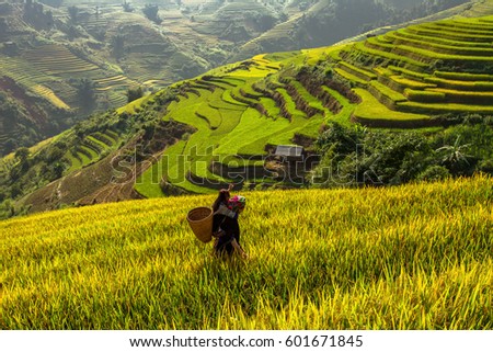 Mother and daughter are walking home on the Vietnamese Rice terraces.