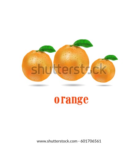 Vector illustration of Three oranges