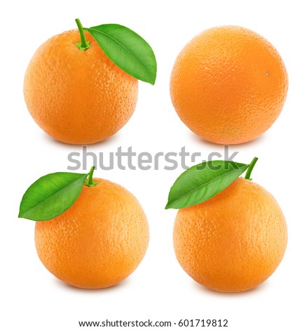 Oranges set isolated on white background
