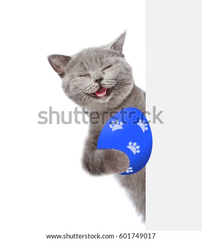 Happy cat with colorful Easter egg behind white banner . Isolated on white background